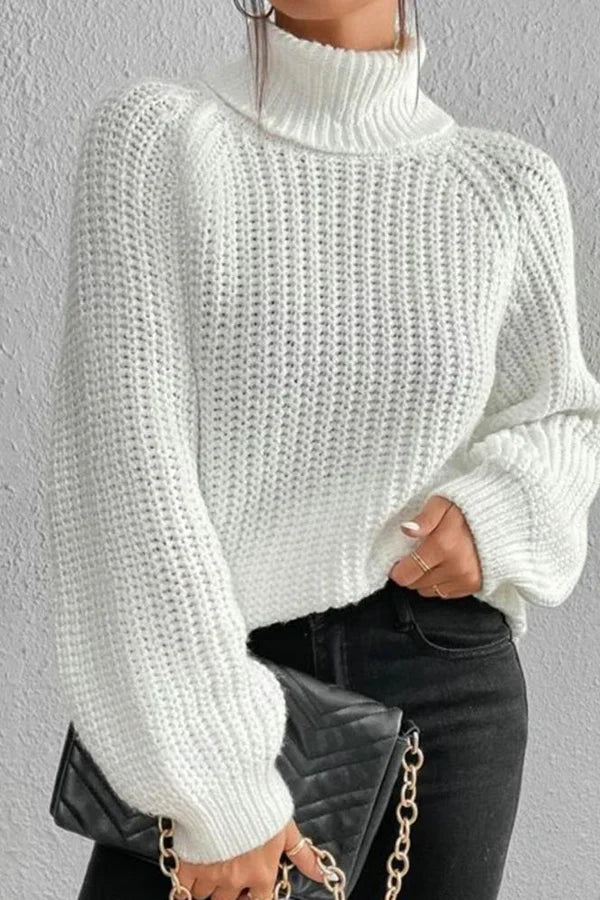 Annette - beautiful sweater - turtleneck sweater