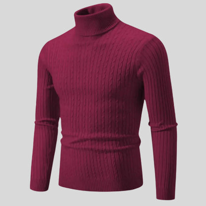 Christoph stylish turtleneck sweater – men