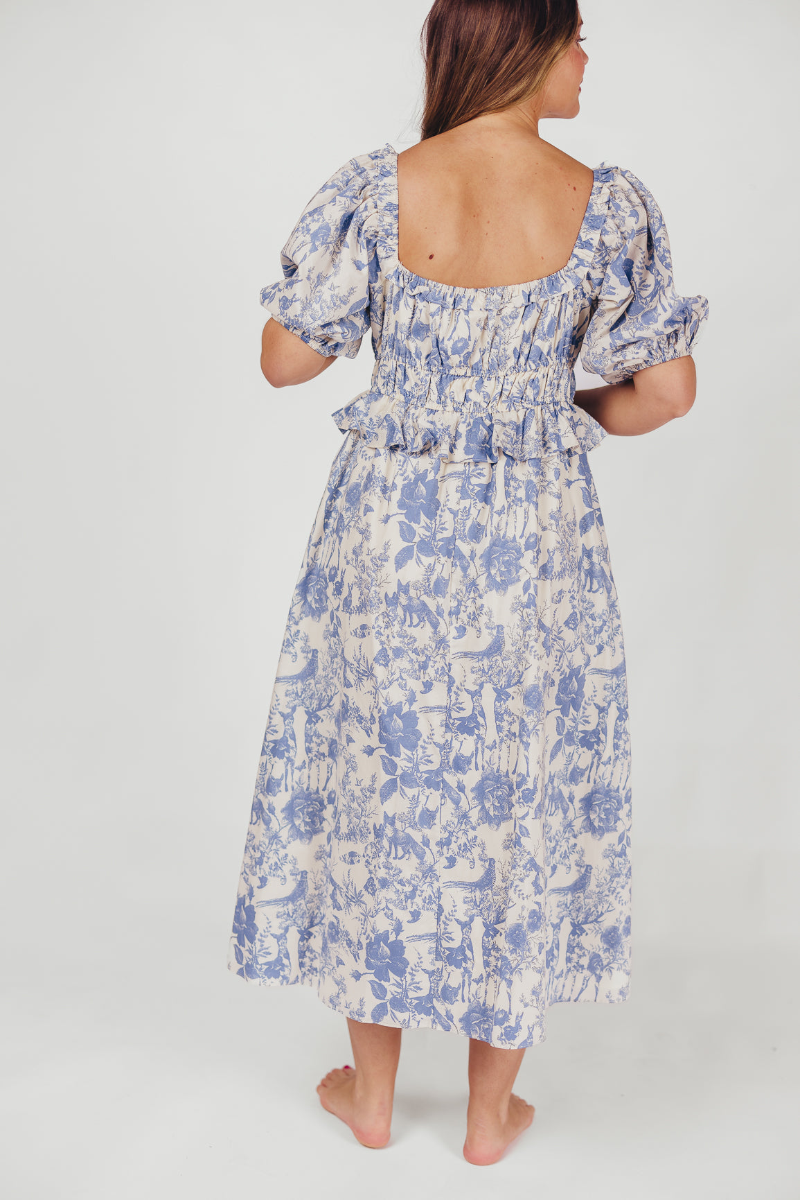 Annabelle Toile Print Midi Dress in Blue