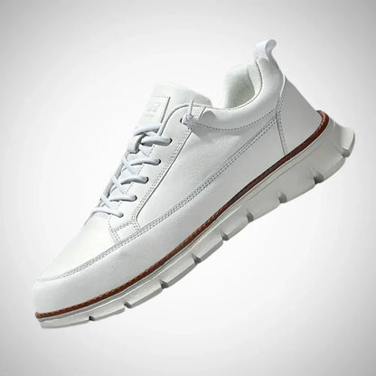 Erwin leather sneakers – men