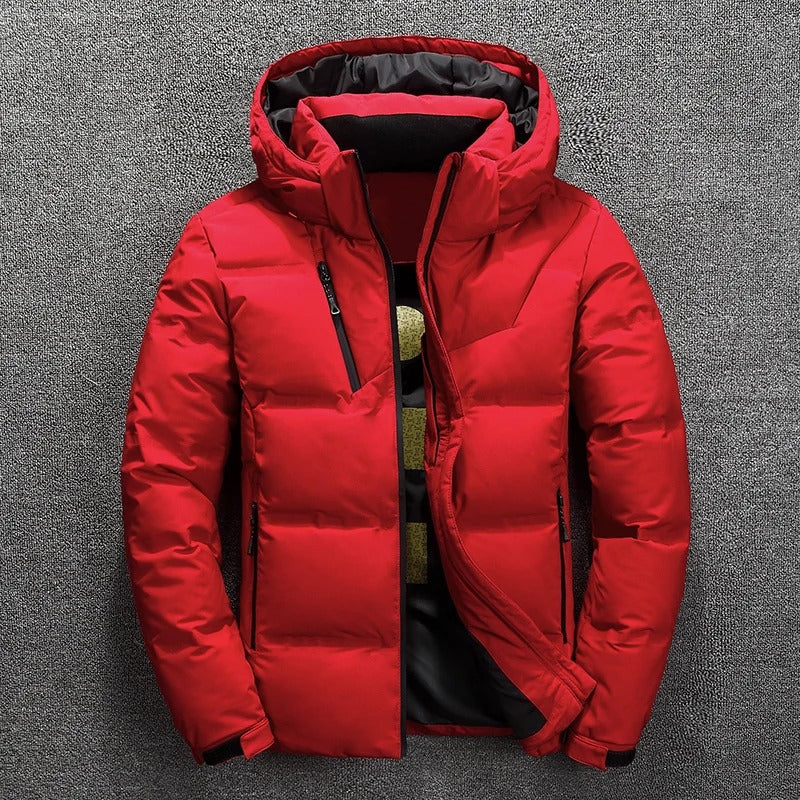 Men's winter jacket with hood and zipper